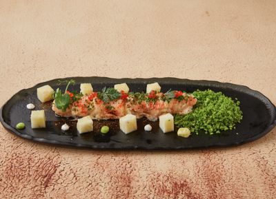 KARİDES CANNELONİ